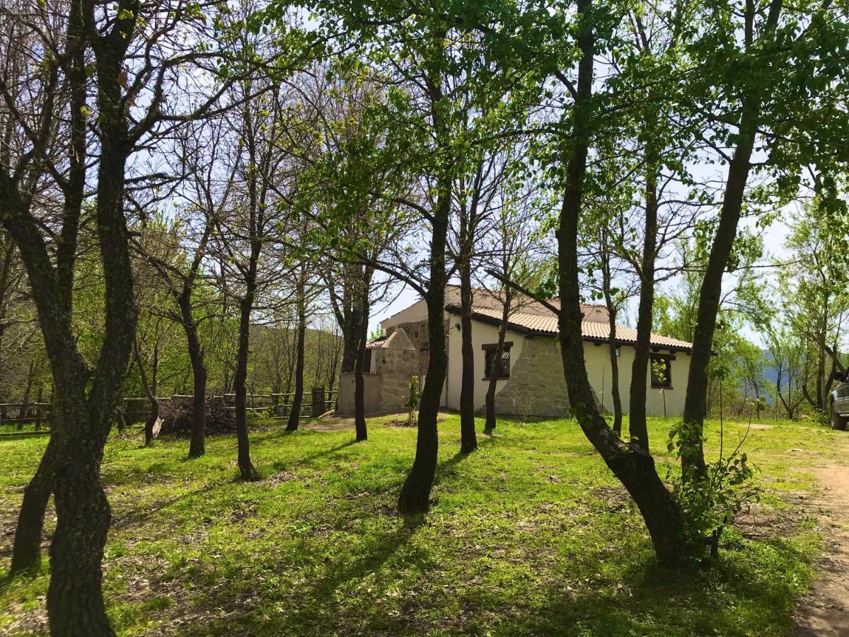Ovostolai Cottage 丰尼 外观 照片