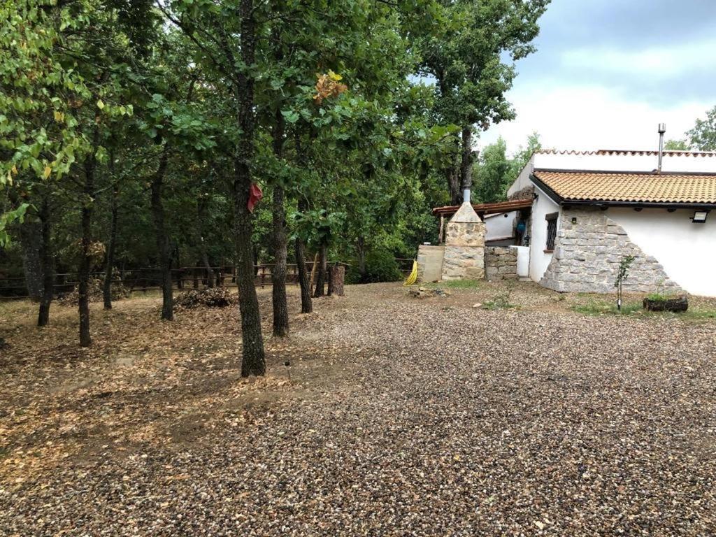 Ovostolai Cottage 丰尼 外观 照片