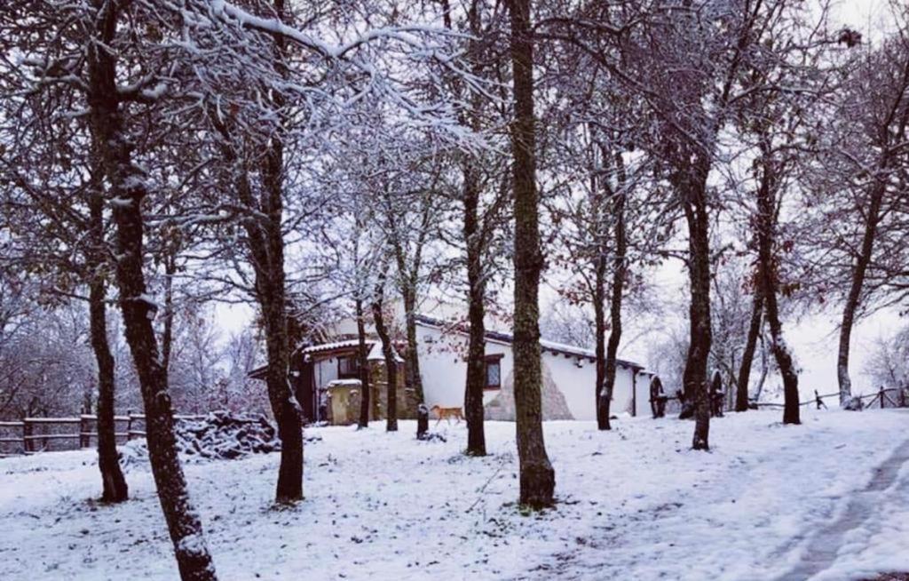 Ovostolai Cottage 丰尼 外观 照片