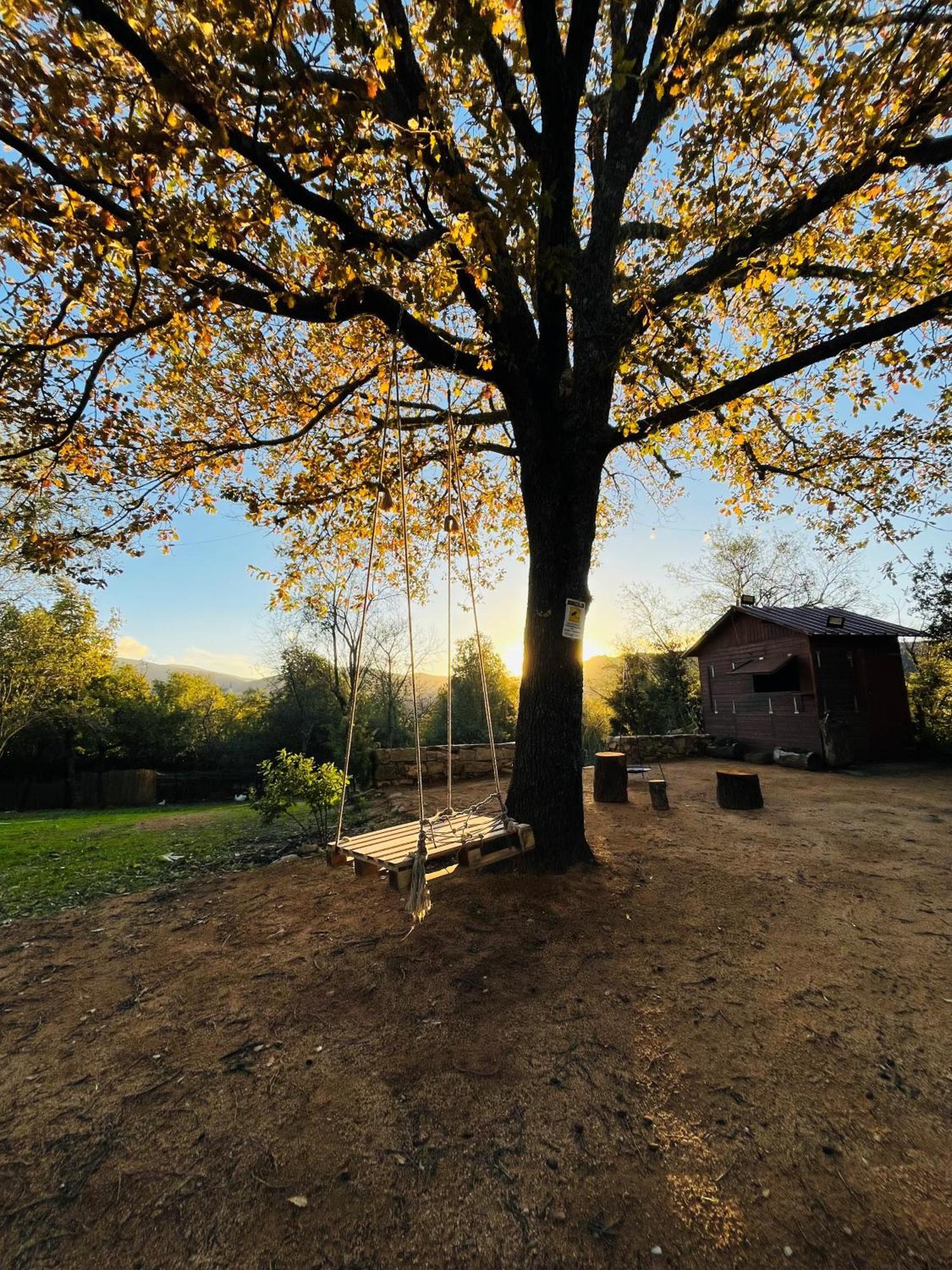 Ovostolai Cottage 丰尼 外观 照片