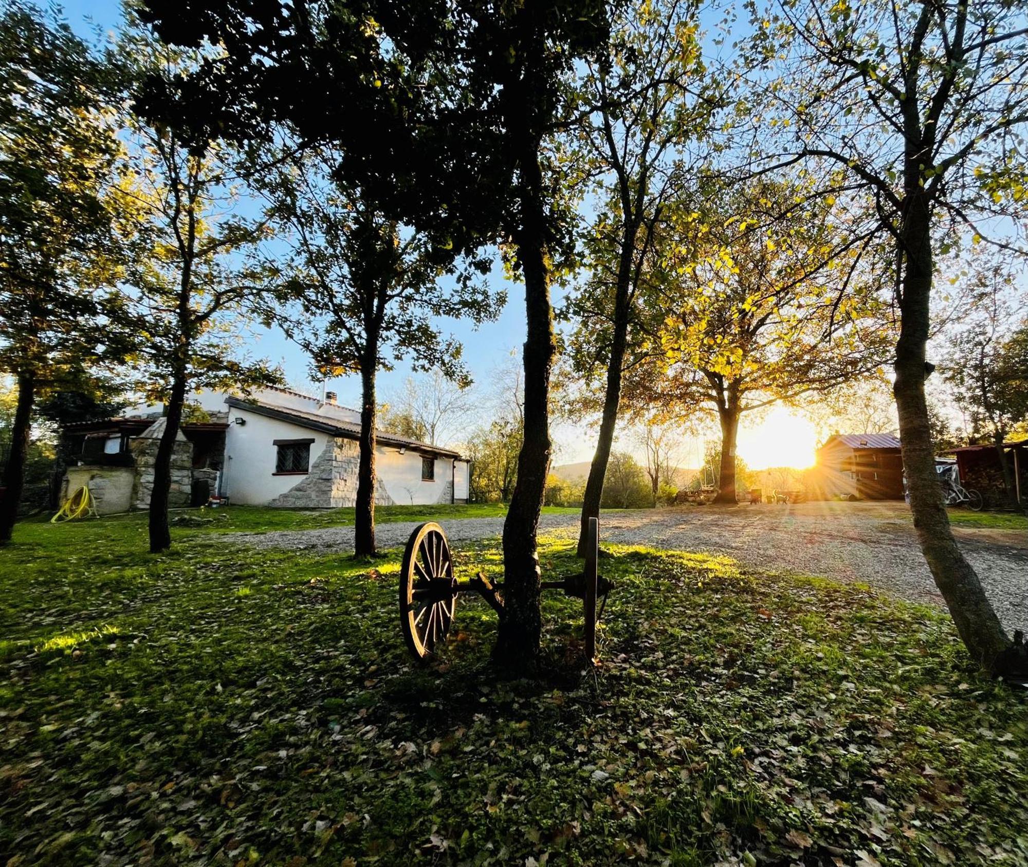 Ovostolai Cottage 丰尼 外观 照片