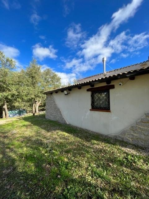 Ovostolai Cottage 丰尼 外观 照片